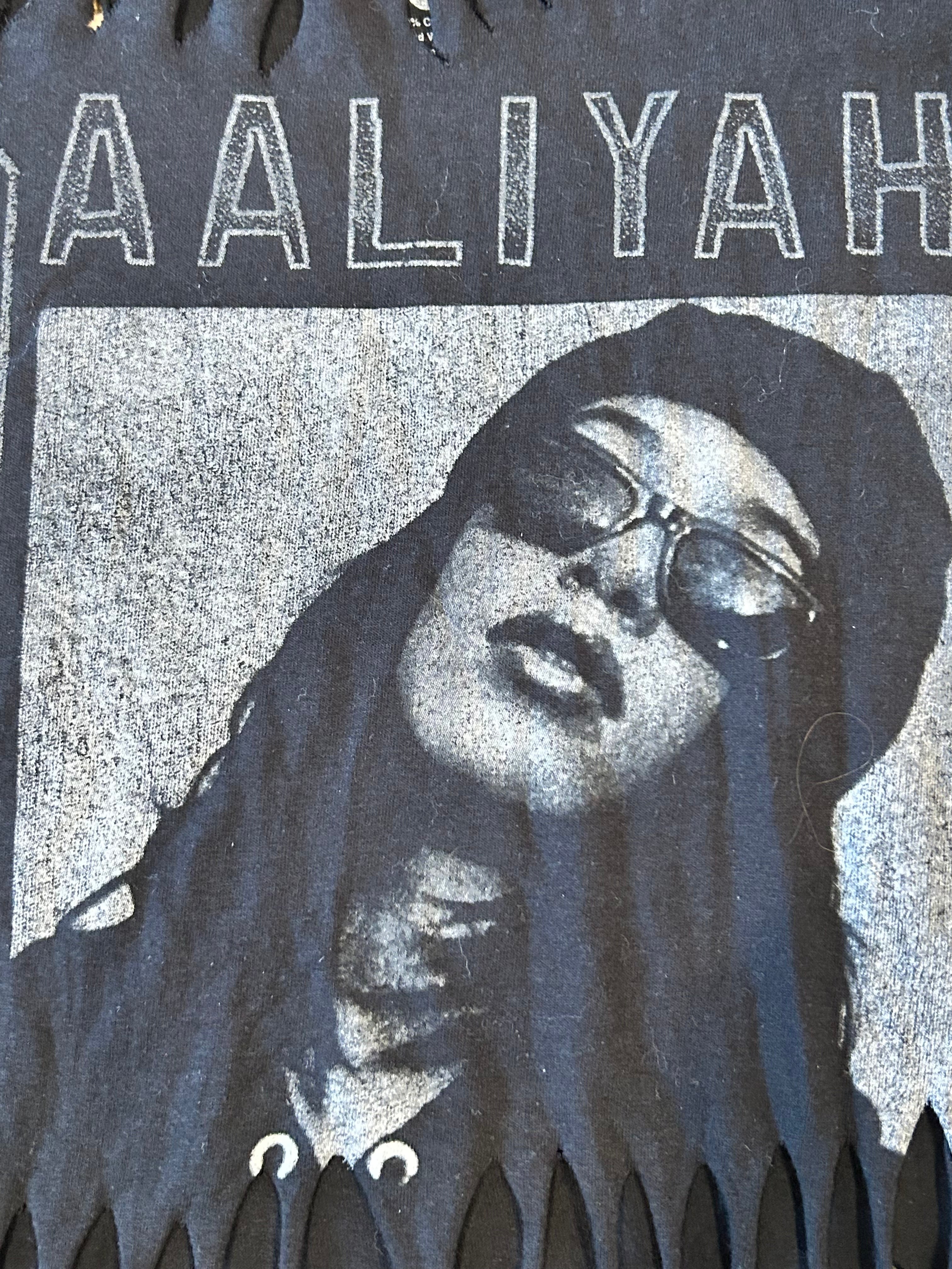 XL Aaliyah Crop Tee