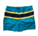 Campus Teal Stripe Swim Shorts