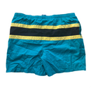 Campus Teal Stripe Swim Shorts