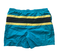 Campus Teal Stripe Swim Shorts