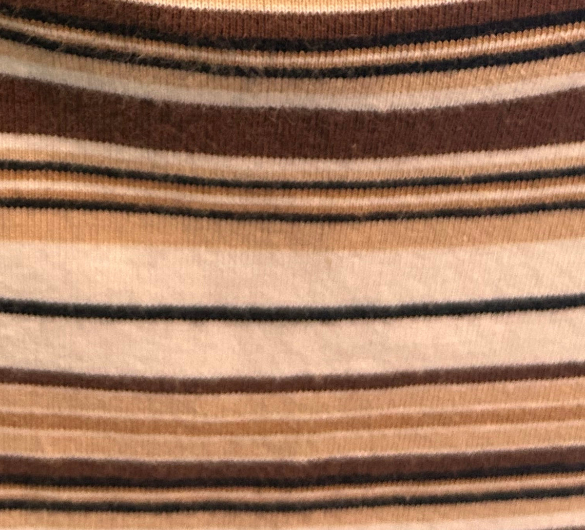 Karen Scott Brown Striped Tank
