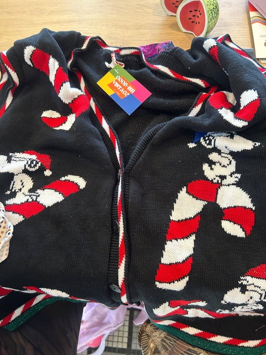 Snoopy & Friends Sweater Vest