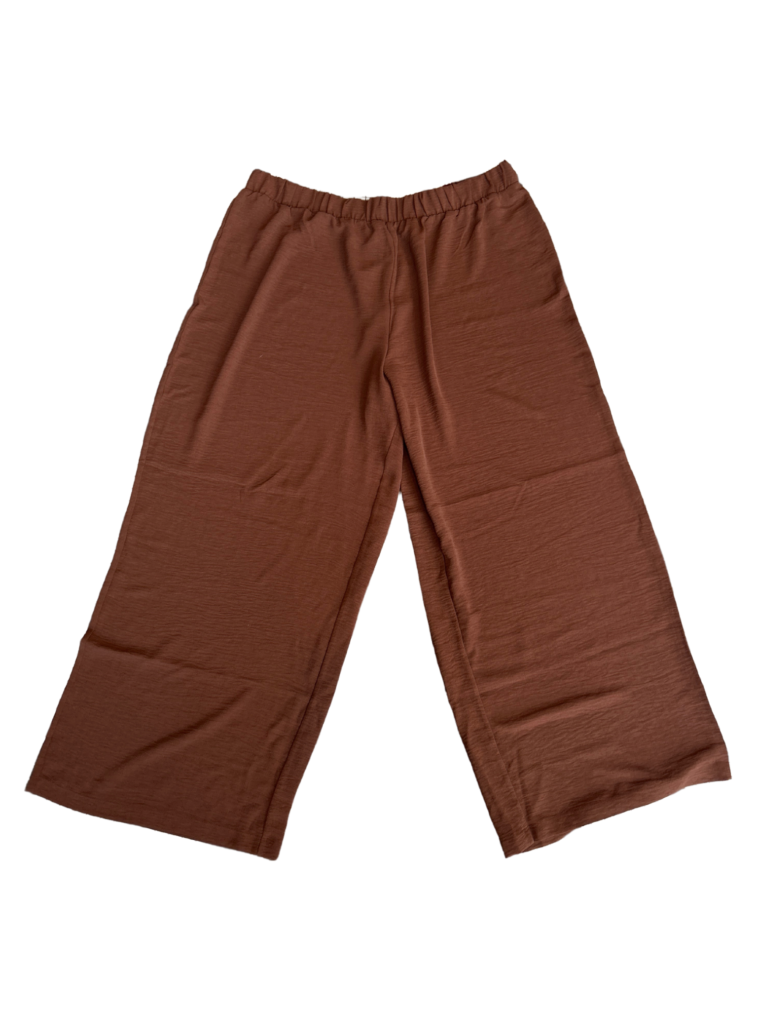 2X Brown Pants