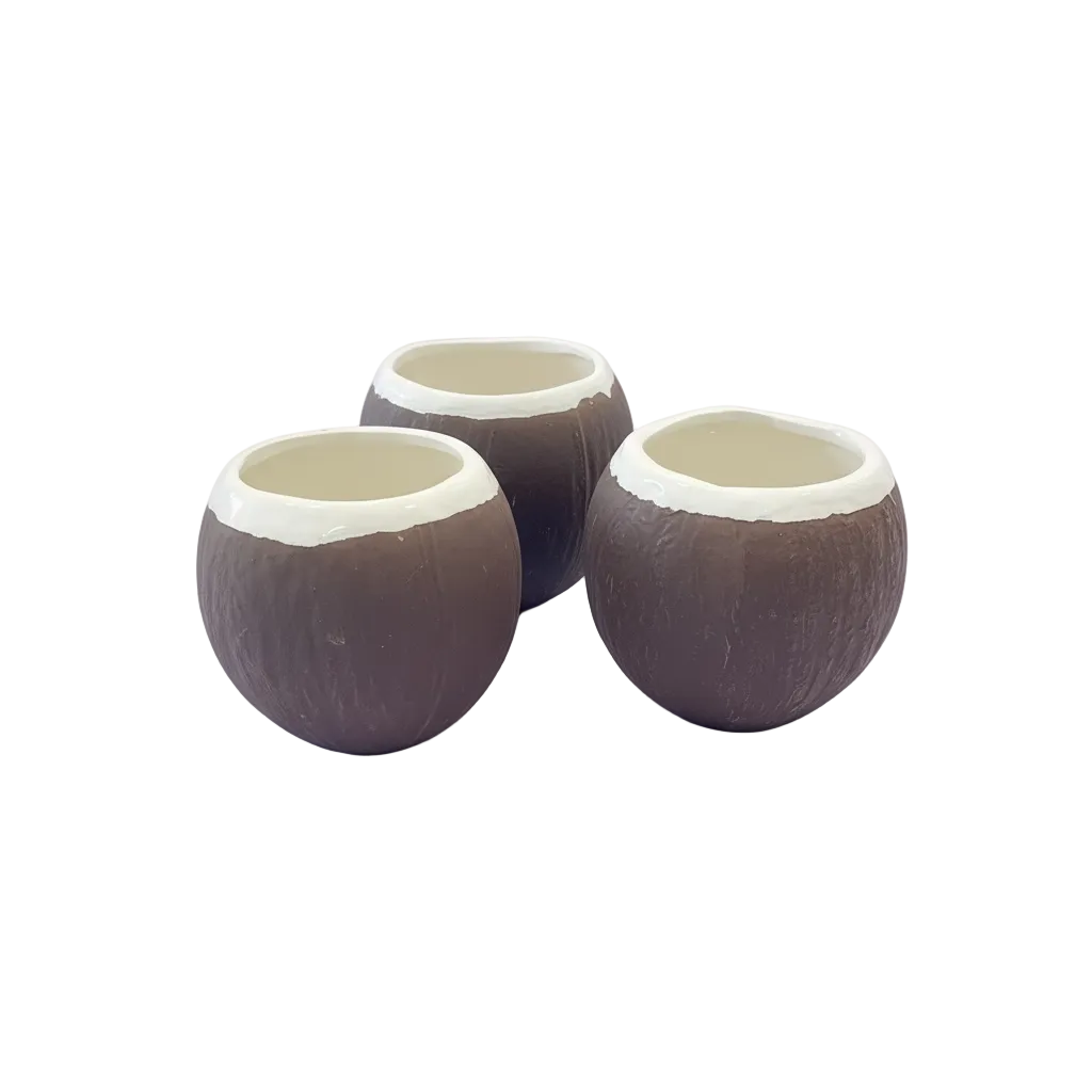 Vintage Ceramic Coconut Mug