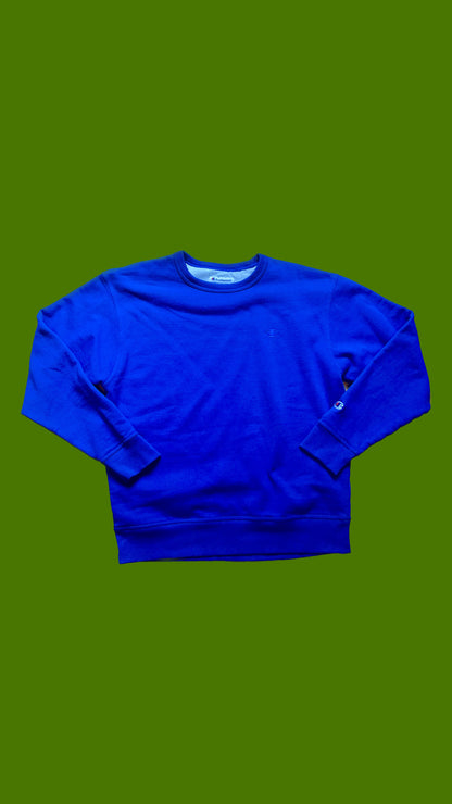 Blue Champion Sweatshirt