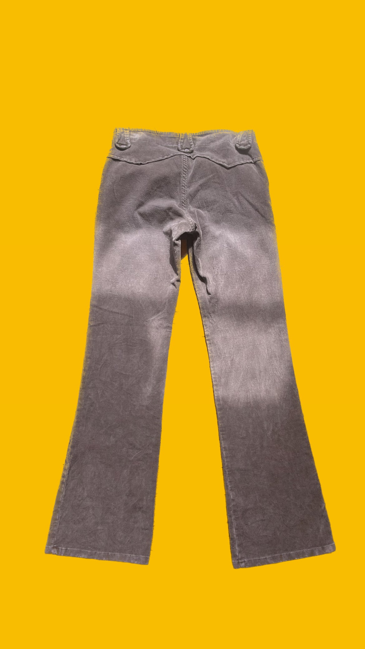 L.E.I. Tan Pants